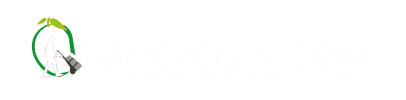 avakaaya-logo 1