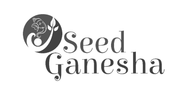 Seed Ganesha Proposal - 2024-4